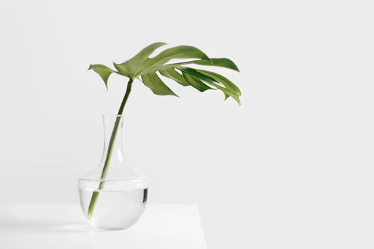De voordelen van wellness artikelen voor thuis