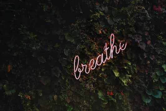Meditatietechnieken voor Beginners Ontdek Innerlijke Rust